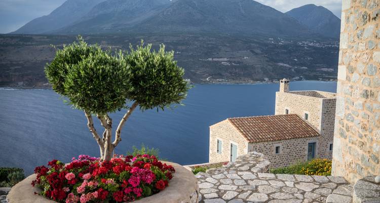 Steinterrasse mit blühenden Blumen und einem skulptierten Olivenbaum mit Blick auf tiefblaues Meer und Berge.