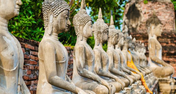 Eine lange Reihe sitzender steinerner Buddha-Statuen säumt eine Backsteinmauer an einem alten Tempel in Ayutthaya.