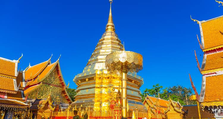 Der glänzende goldene Chedi von Wat Phra That Doi Suthep erhebt sich gegen einen leuchtend blauen Himmel, umgeben von kunstvollen Tempeldächern.