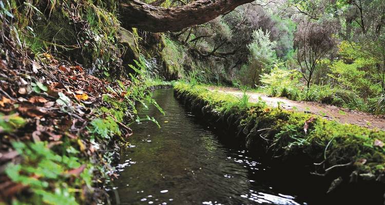 Madeira Highlights - SKR Reisen 6