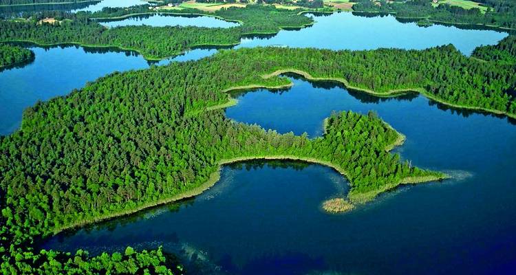 Luftaufnahme von grünen Wäldern, die von Seen umgeben sind.