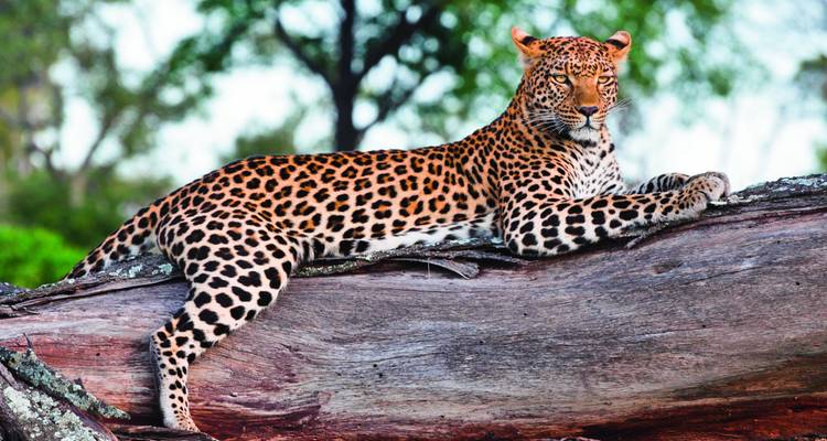 Zimbabwe, Namibia & Botswana: Highlights with Caprivi & Victoria Falls - SKR Reisen 2