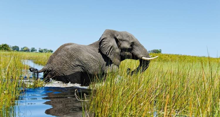 Zimbabwe, Namibia & Botswana: Highlights with Caprivi & Victoria Falls - SKR Reisen 8