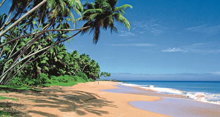 Sri Lanka East Coast Highlights - SKR Reisen 9