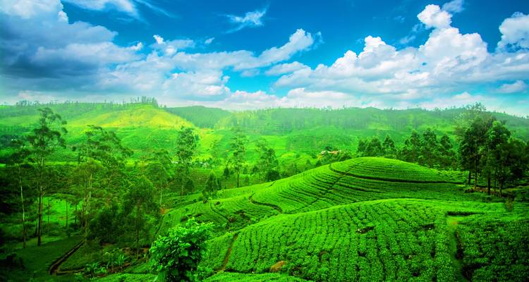 Sri Lanka East Coast Highlights - SKR Reisen 3