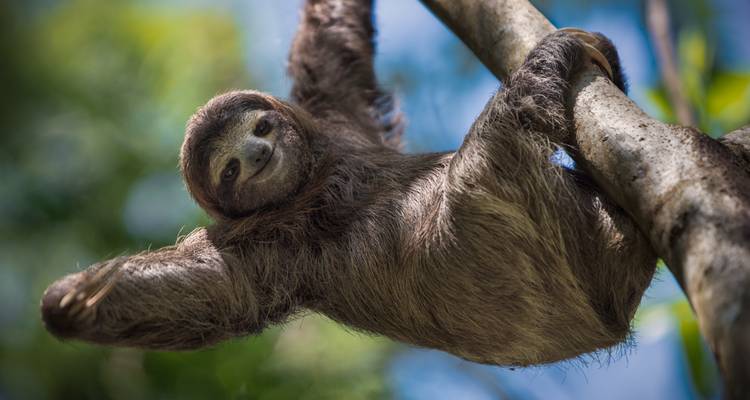Costa Rica : Points forts - SKR Reisen 3
