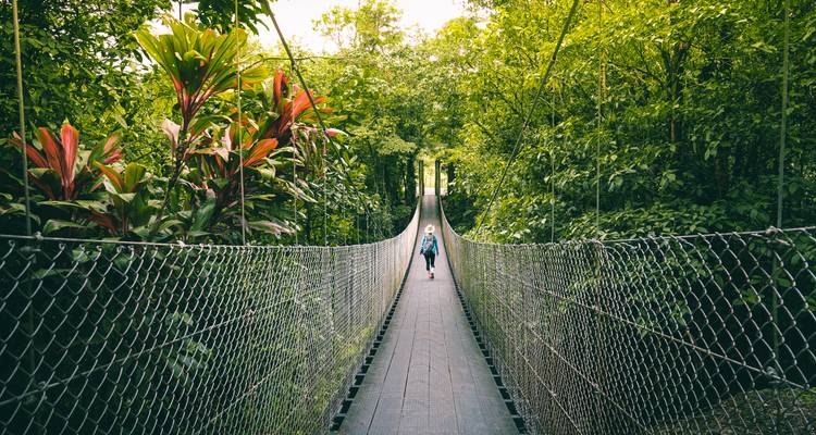Puente colgante a través de un exuberante y denso entorno selvático.