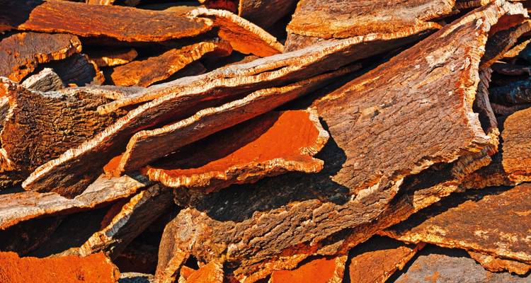 Primer plano de corteza de corcho apilada en varios tonos de marrón.