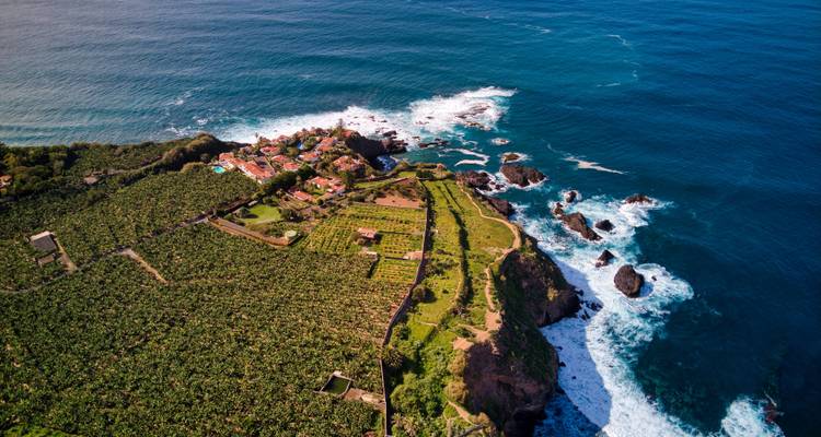 Drone view of rugged Tenerife coastline with crashing waves and terraced green fields