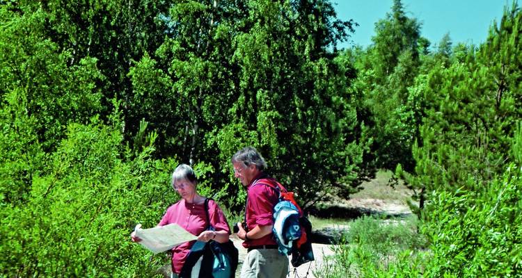 Países Bálticos: Senderismo en el Curonian Spit y en parques nacionales - SKR Reisen 2