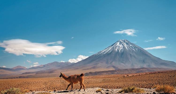 Pérou, Bolivie & Chili : le voyage détaillé - SKR Reisen 6
