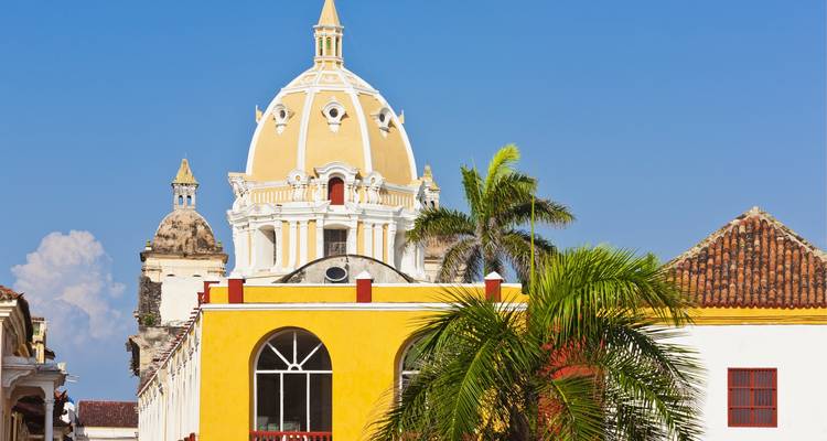 Edificio histórico amarillo con cúpula y palmera