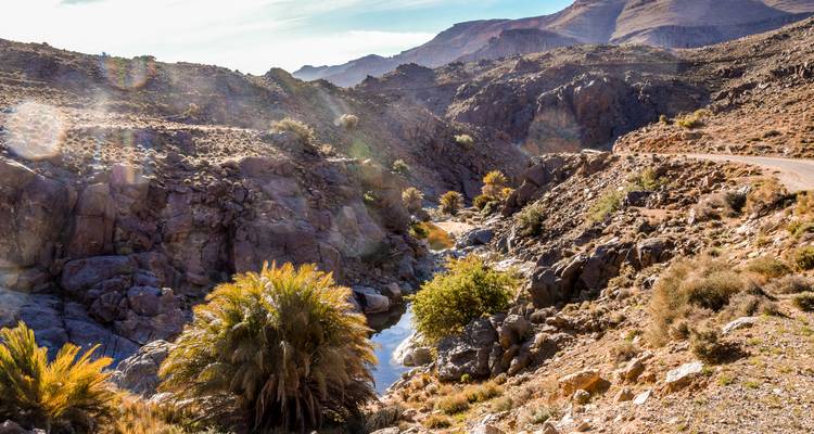Rocky landscape with sparse vegetation.