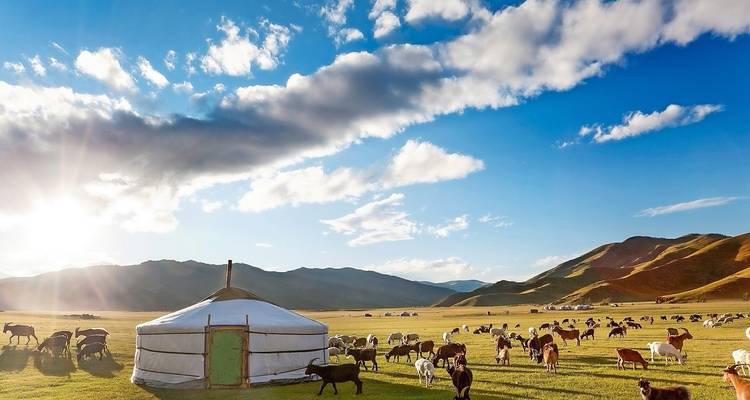 Mongolia: lo más destacado - SKR Reisen 2
