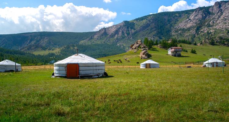 Traditionelle mongolische Jurten auf einer grünen Wiese mit bewaldeten Hügeln und Felsformationen dahinter
