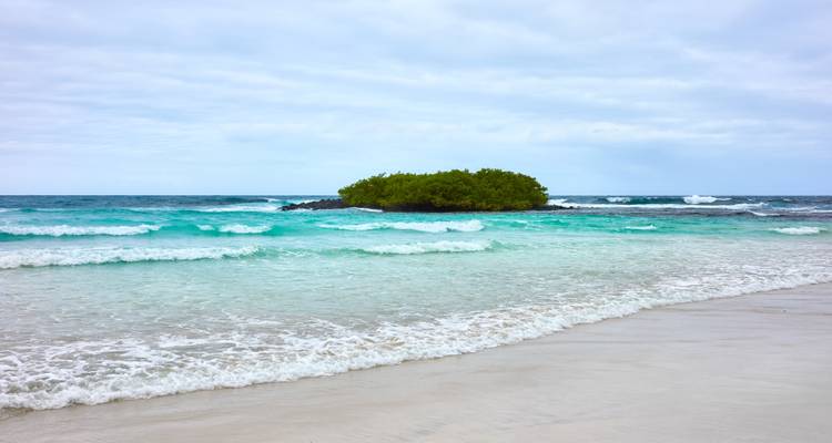 Türkisfarbene Wellen, die sanft an einen weißen Sandstrand der Galápagos spülen, mit einer kleinen mangrovenbedeckten Insel vor der Küste unter einem bewölkten Himmel.