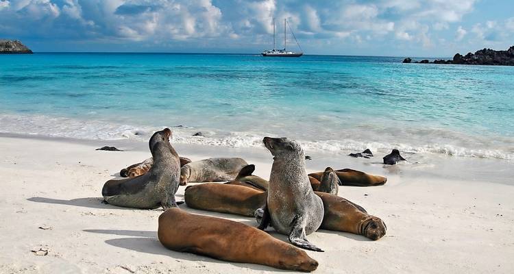 Ecuador & Galapagos Highlights - SKR Reisen 2