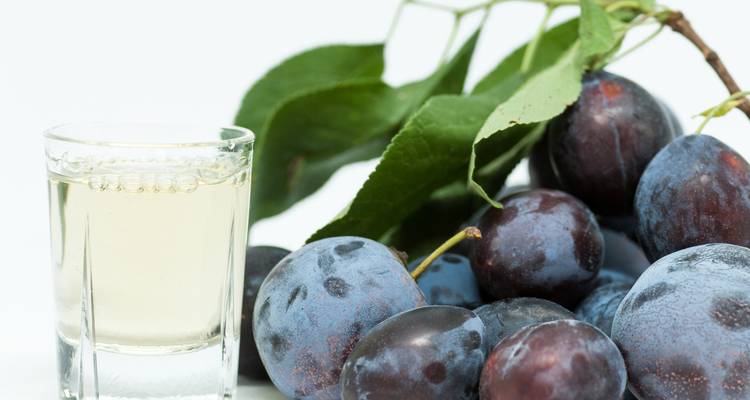 A glass of liquid with a branch of plums.