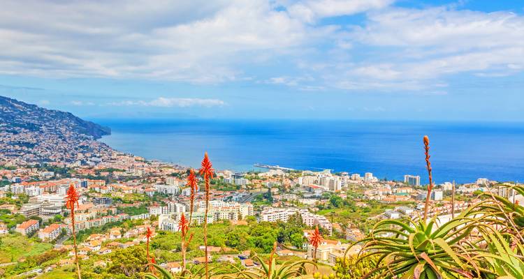 Point de vue panoramique sur la ville de Funchal et le port encadré par des fleurs d'aloès orange
