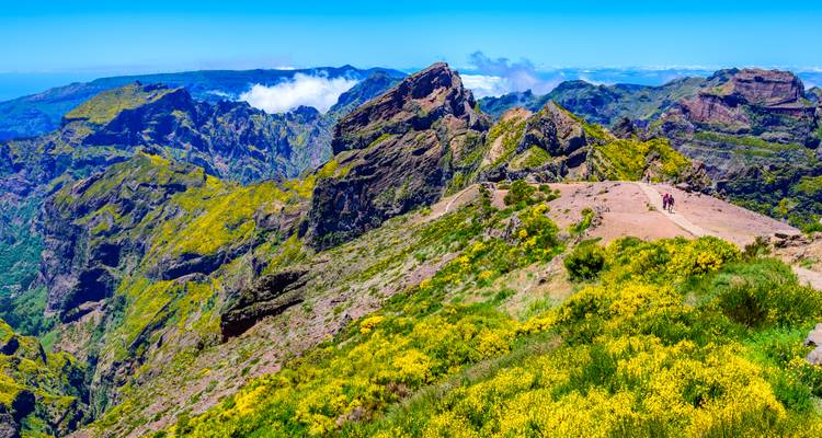 Sentier de crête en haute altitude offrant une vue sur les pics verts déchiquetés et les nuages bas de l'intérieur de Madère