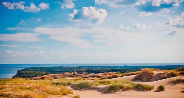 Dunas costeras pintorescas con vista al bosque y al mar.
