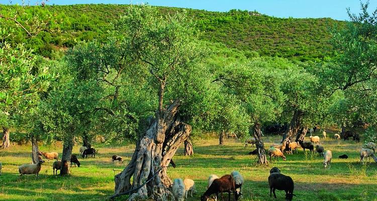 Tunisia: Relaxed Experience - SKR Reisen 4
