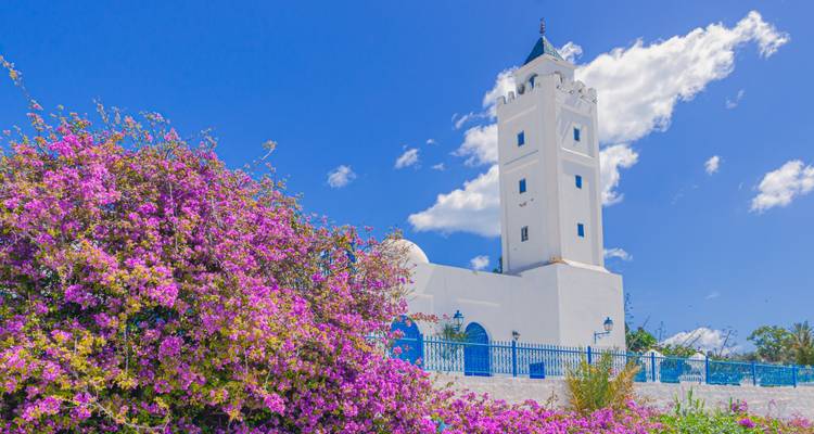 Een helderwitte minaret rijst op achter een waterval van levendige roze bougainvillea bloemen tegen een diepblauwe lucht met pluizige wolken.