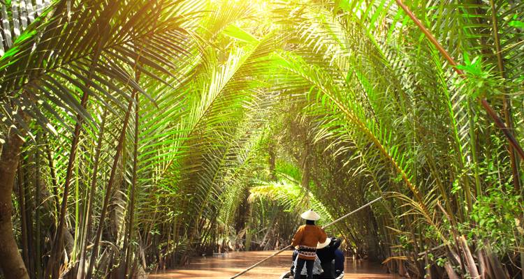 Traditionelles Boot gleitet durch einen Tunnel aus üppigen Palmwedeln mit warmem Sonnenlicht, das von oben hindurchfiltert.