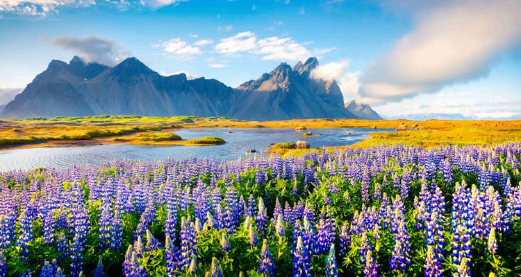 Islande : Points forts - SKR Reisen 3