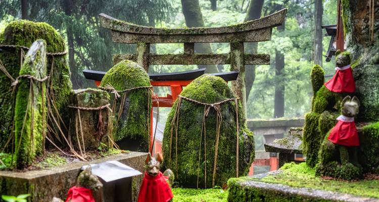 Torii de piedra cubierto de musgo y estatuas de zorros en un santuario sereno y sombreado del bosque