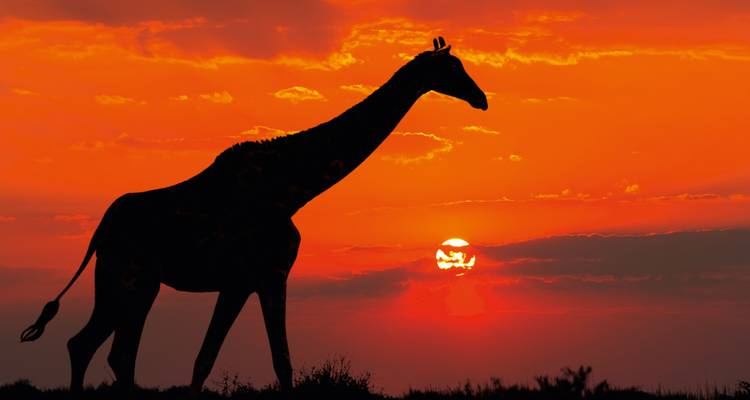 Südafrika: Sternstunden - SKR Reisen 1