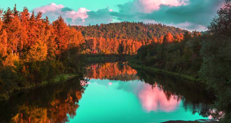 Rivier die door een bos stroomt met bomen in herfstkleuren.