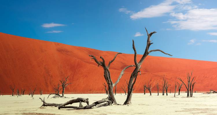 Dead tree silhouettes against vibrant red dunes in Sossusvlei.
