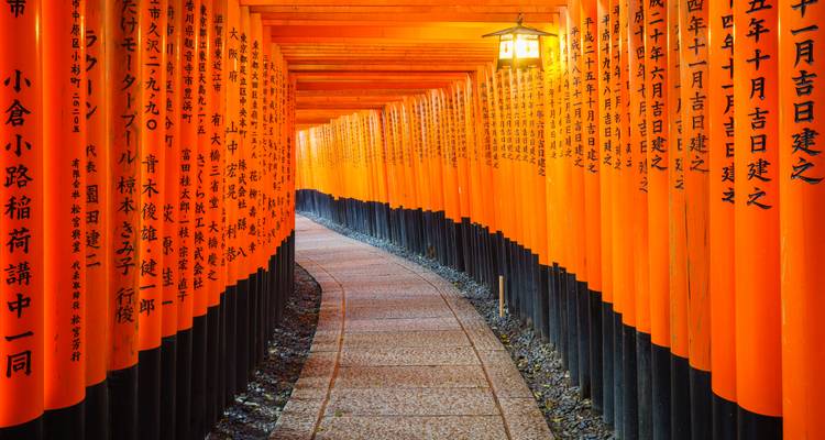 Túnel infinito de puertas torii bermellón se curva hacia la distancia iluminado por una linterna colgante