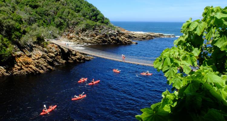 Kayakistas en un río debajo de un puente colgante rodeado de vegetación.