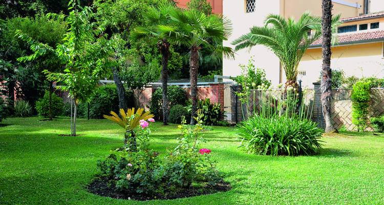 Un jardin verdoyant avec différents types de plantes et de fleurs.