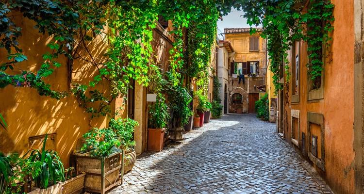 Malerische Kopfsteinpflastergasse mit üppigen Ranken und warmen ockerfarbenen Mauern in Roms historischem Viertel.