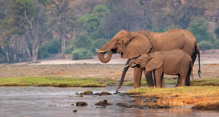 NAMIBIA, BOTSWANA & AFRIQUE DU SUD : Le voyage détaillé avec les chutes Victoria - SKR Reisen 1