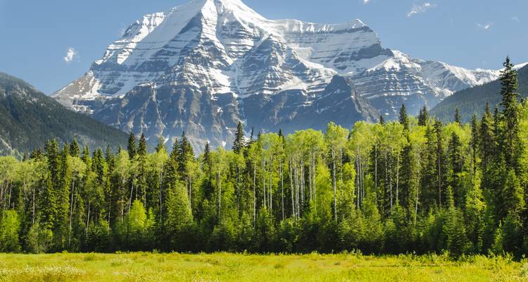El Monte Robson cubierto de nieve se eleva sobre un denso bosque verde de coníferas y una pradera soleada.