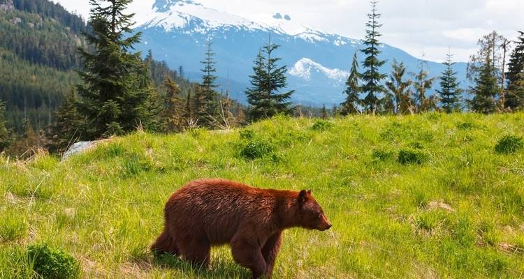 Highlights of Western Canada - SKR Reisen 6