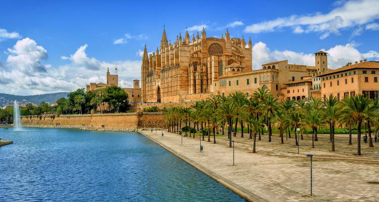 Gothic Palma Cathedral rising above a waterfront lined with palm trees and a reflecting pool