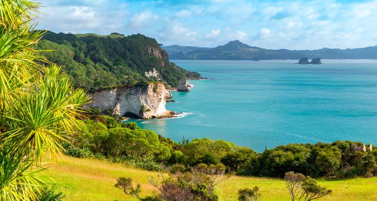 Malerische Küstenlandschaft mit üppigem Grün und Meer.