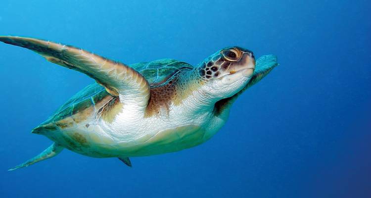 Cape Verde Highlights - SKR Reisen 1