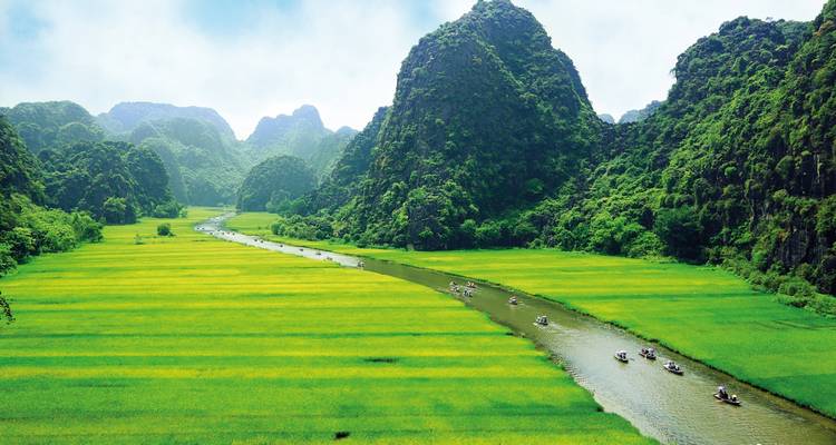 Rivier die door weelderige groene rijstvelden in een vallei stroomt.