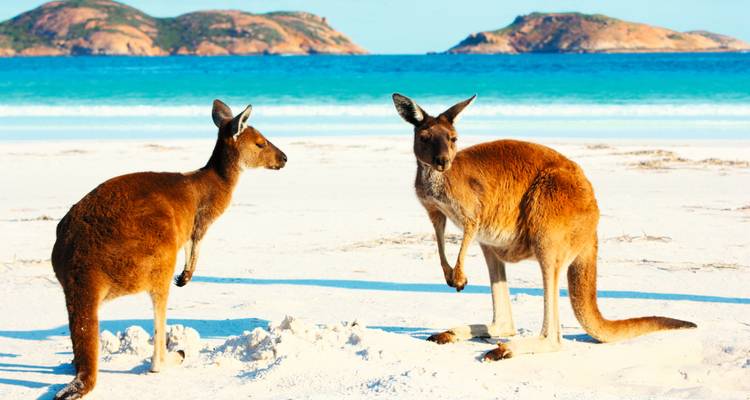 Australia In-Depth - SKR Reisen 6