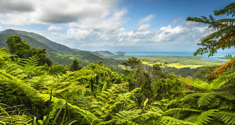 Exuberante paisaje de selva tropical con vista hacia el océano.