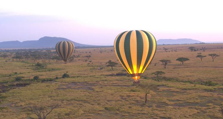 Heißluftballons, die bei Sonnenaufgang über eine Savannenlandschaft treiben.