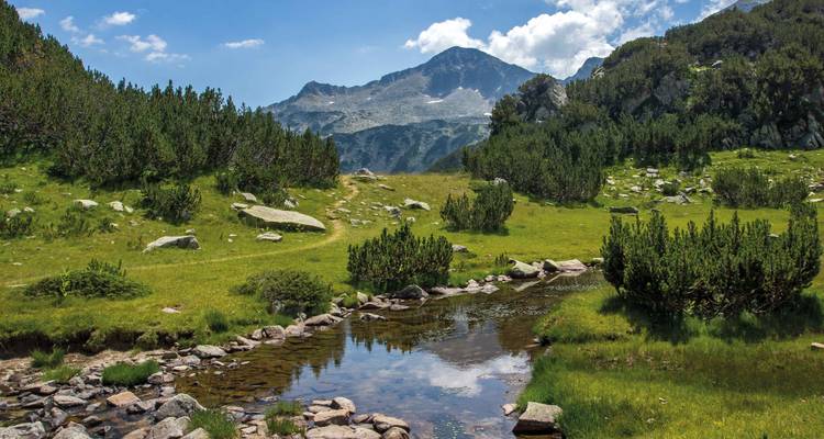 Berglandschaft mit einem Bach und üppigen grünen Wiesen.