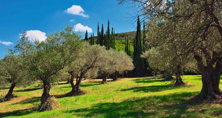 Peloponnese Culture & Nature - SKR Reisen 3