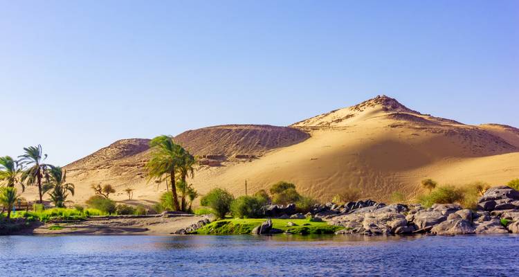 Woestijnlandschap met rivier en palmbomen.